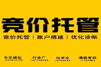 竞价广告案例：网络推广新思路